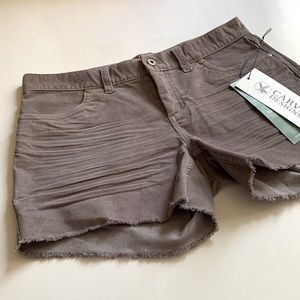 Carve Designs Oahu Corduroy Shorts